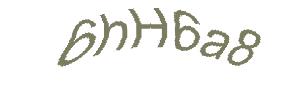 عبارت امنیتی
