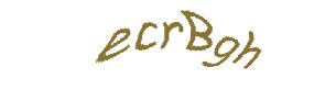 عبارت امنیتی