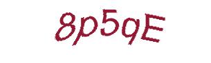 عبارت امنیتی