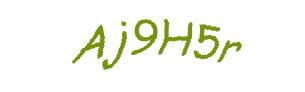 عبارت امنیتی