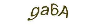 عبارت امنیتی