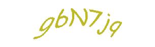 عبارت امنیتی