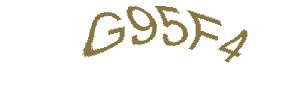 عبارت امنیتی