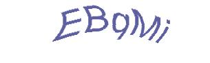 عبارت امنیتی