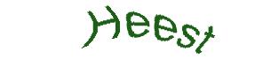 عبارت امنیتی