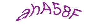 عبارت امنیتی