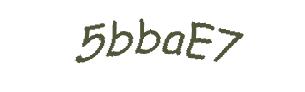 عبارت امنیتی