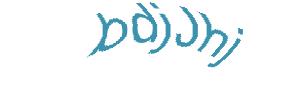 عبارت امنیتی