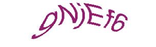 عبارت امنیتی