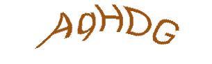 عبارت امنیتی