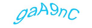 عبارت امنیتی