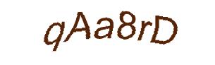 عبارت امنیتی