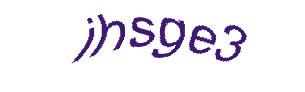 عبارت امنیتی