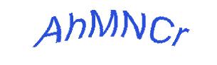 عبارت امنیتی