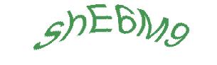 عبارت امنیتی