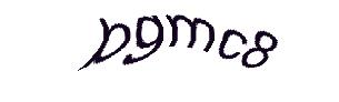 عبارت امنیتی
