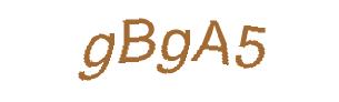 عبارت امنیتی