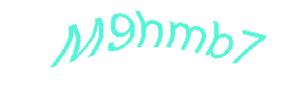 عبارت امنیتی
