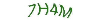 عبارت امنیتی