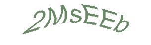 عبارت امنیتی