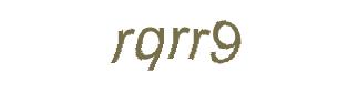 عبارت امنیتی