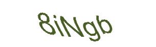 عبارت امنیتی