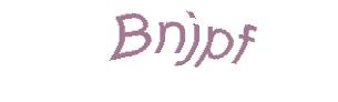 عبارت امنیتی