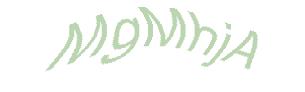 عبارت امنیتی