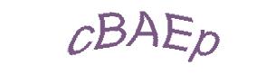 عبارت امنیتی