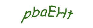 عبارت امنیتی