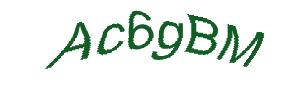 عبارت امنیتی
