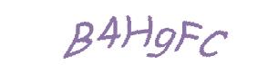 عبارت امنیتی