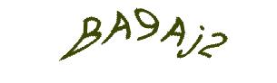 عبارت امنیتی