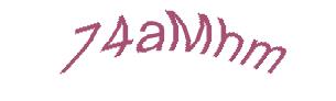 عبارت امنیتی