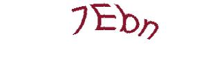 عبارت امنیتی