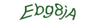 عبارت امنیتی