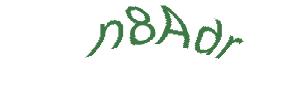 عبارت امنیتی
