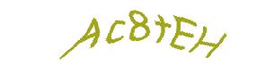 عبارت امنیتی