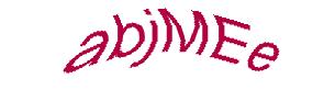 عبارت امنیتی