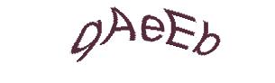 عبارت امنیتی
