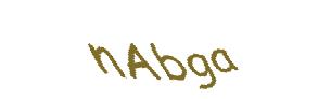 عبارت امنیتی