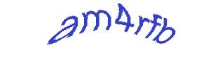 عبارت امنیتی