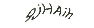 عبارت امنیتی