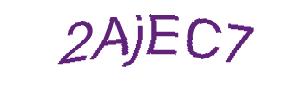 عبارت امنیتی