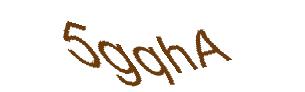 عبارت امنیتی