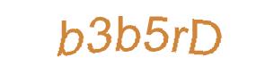 عبارت امنیتی