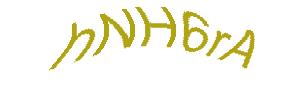 عبارت امنیتی