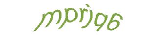 عبارت امنیتی