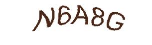 عبارت امنیتی