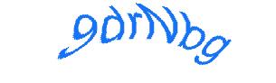 عبارت امنیتی
